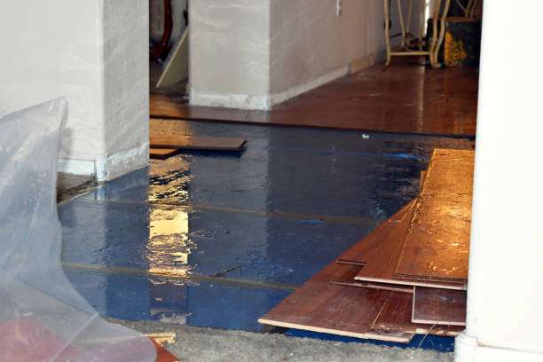 Professional Sewage Cleanup technician working in Marshfield, MA